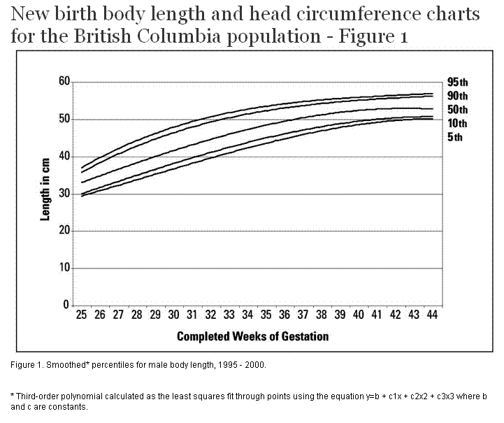 Average Head Circumference Chart